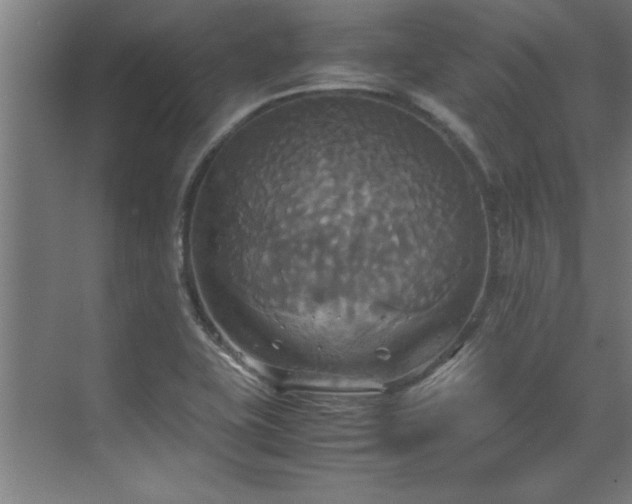 X0000072521415200607141146