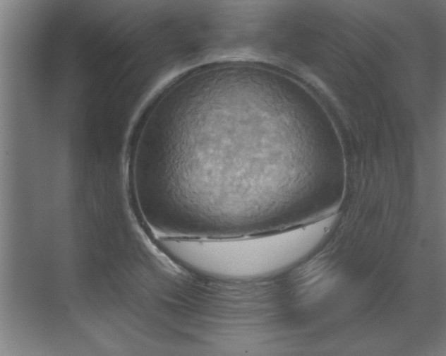 X0000072521416200607141146