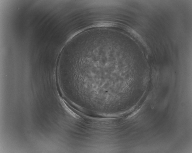 X0000072521417200607141146