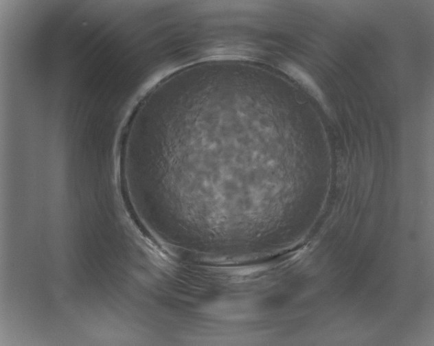 X0000072521419200607141146