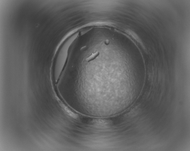 X0000072521420200607141146