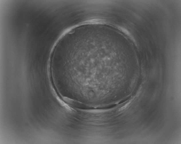 X0000072521421200607141146