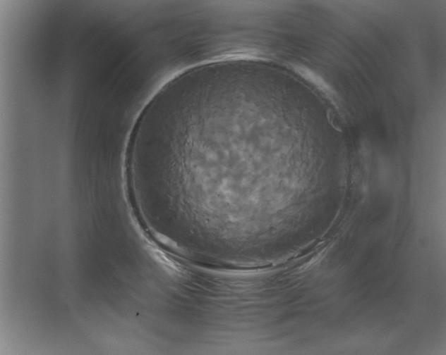 X0000072521423200607141146