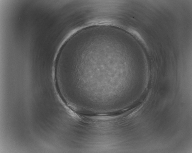 X0000072521424200607141146