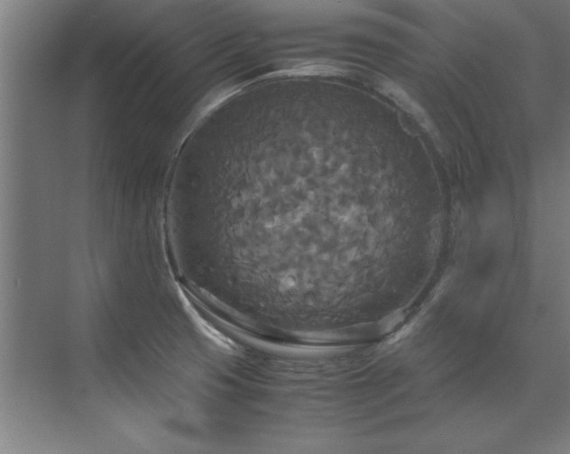 X0000072521425200607141146