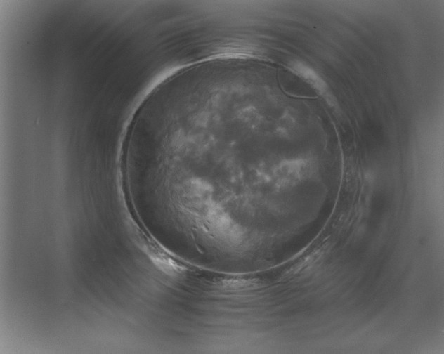 X0000072521427200607141146