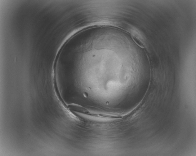 X0000072521428200607141146