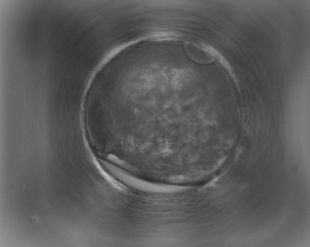 X0000072521429200607141146