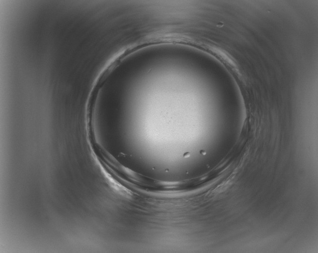 X0000072521430200607141146