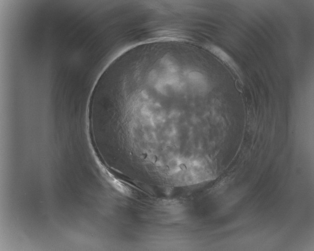 X0000072521431200607141146