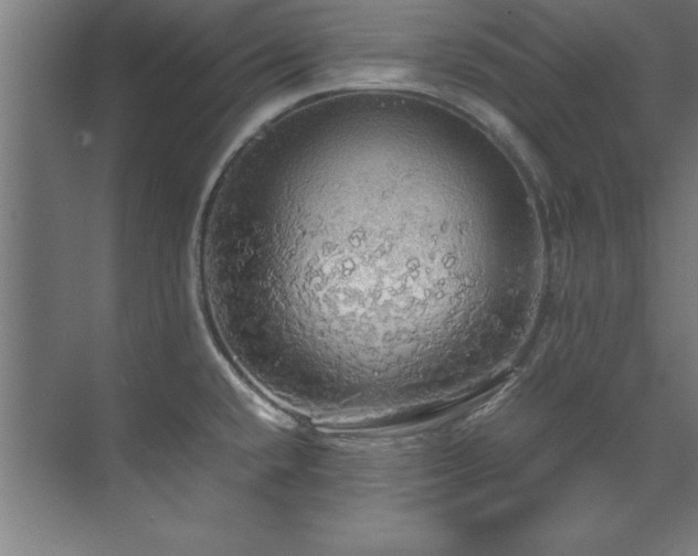 X0000072521432200607141146