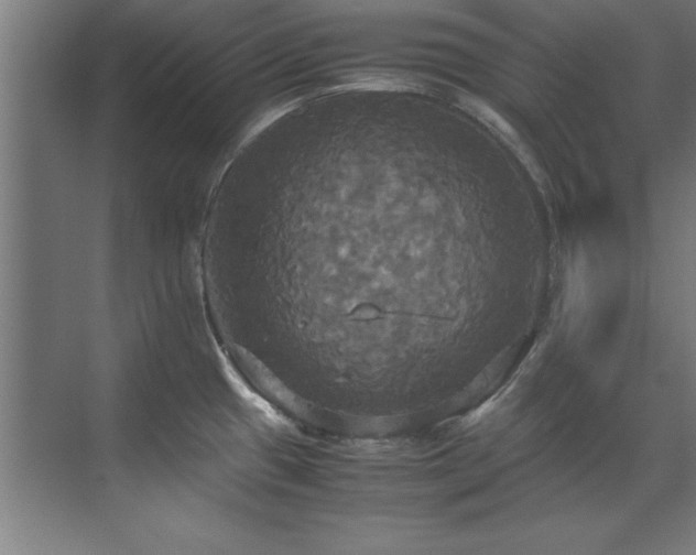 X0000072521433200607141146