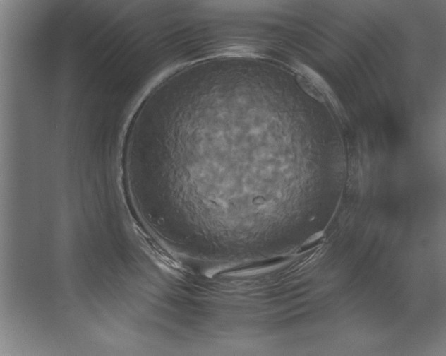 X0000072521435200607141146