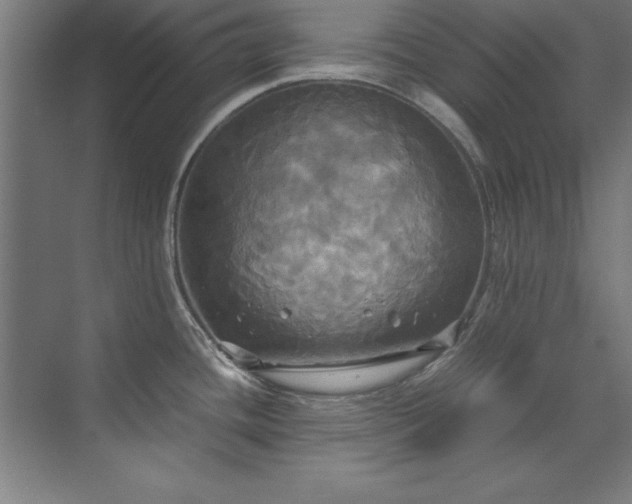 X0000072521436200607141146