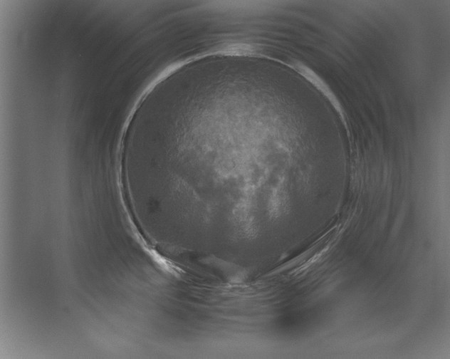 X0000072521437200607141146