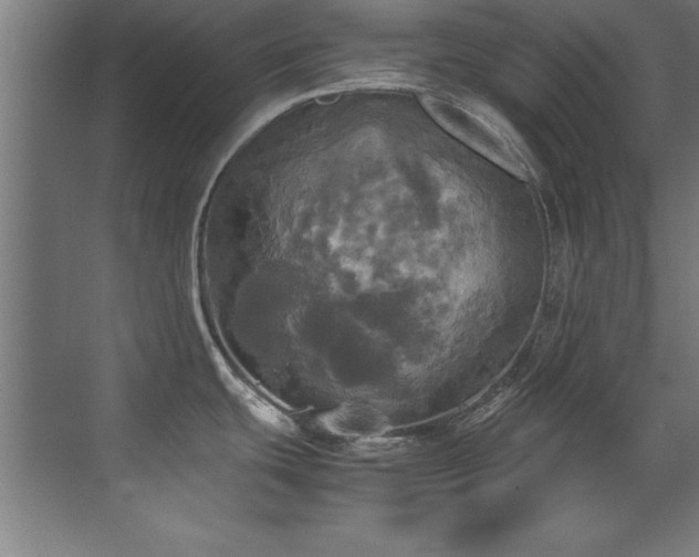 X0000072521439200607141146