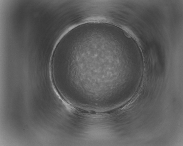 X0000072521440200607141146