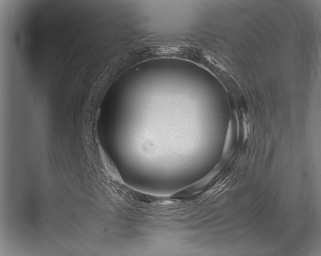 X0000072521441200607141146