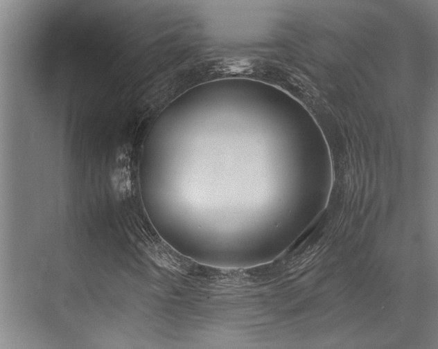 X0000072521442200607141146