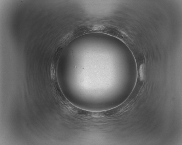 X0000072521443200607141146