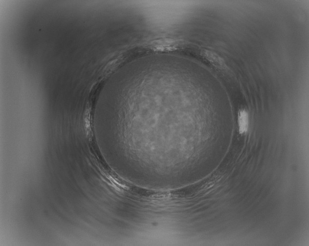 X0000072521444200607141146