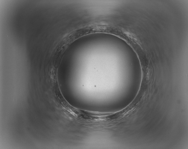 X0000072521445200607141145