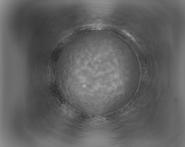 X0000072521446200607141145