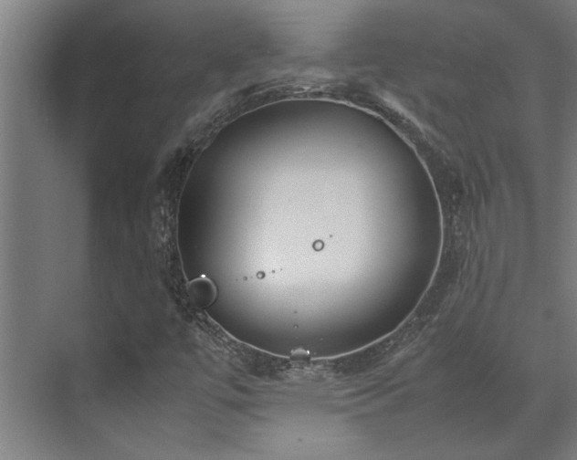 X0000072521447200607141145