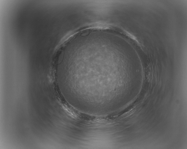 X0000072521448200607141145