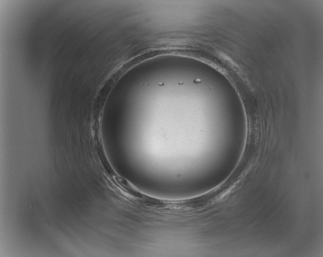 X0000072521449200607141145