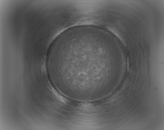 X0000072521452200607141145