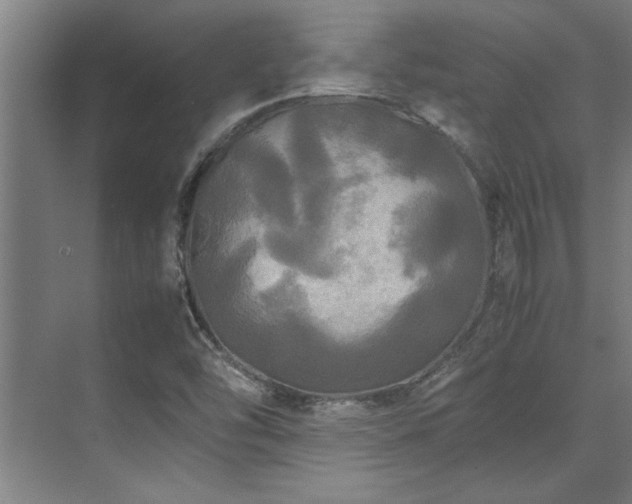 X0000072521454200607141145