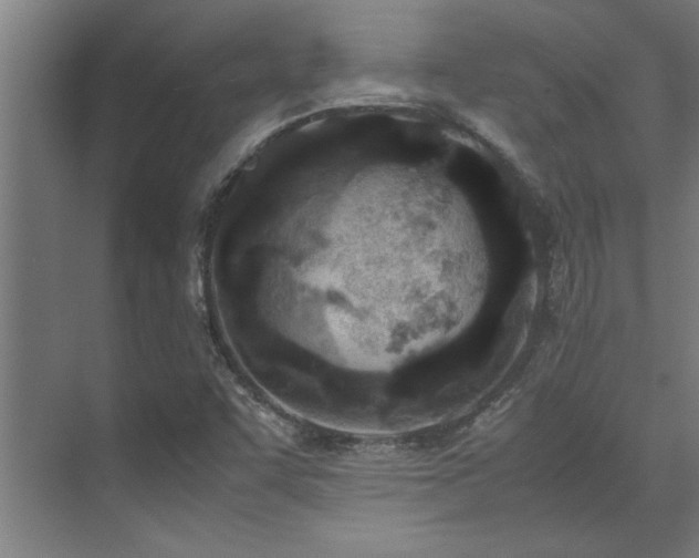 X0000072521455200607141145