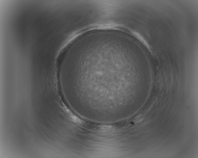 X0000072521456200607141145