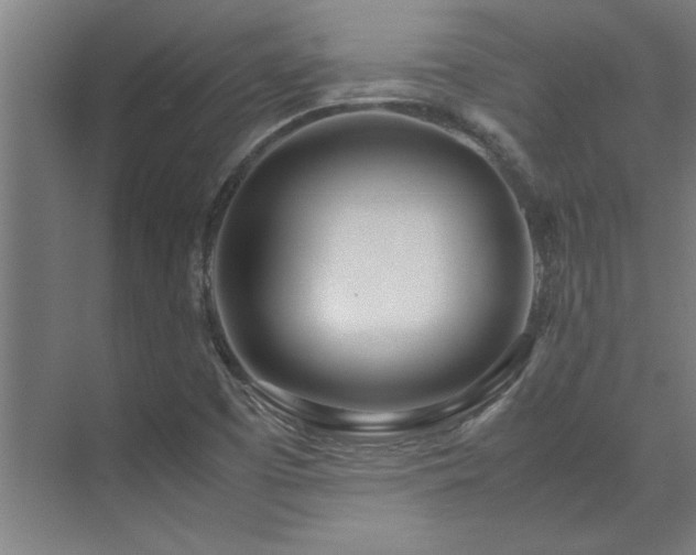 X0000072521457200607141145