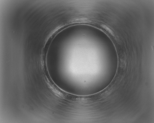 X0000072521458200607141145