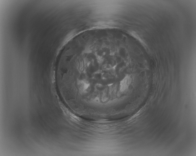 X0000072521459200607141145