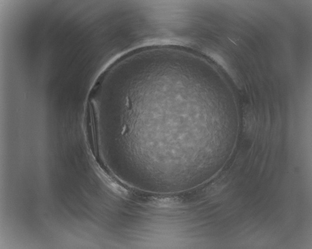 X0000072521460200607141145