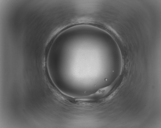 X0000072521461200607141145