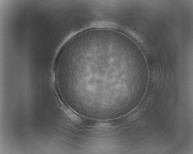 X0000072521462200607141145