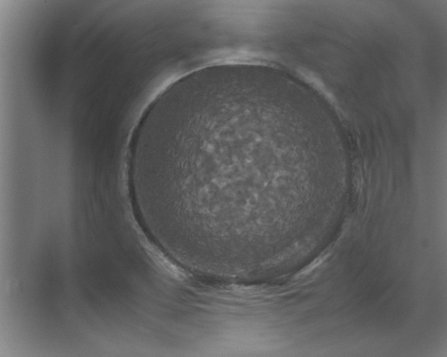 X0000072521463200607141145