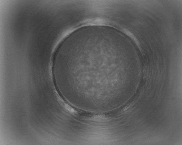 X0000072521464200607141145