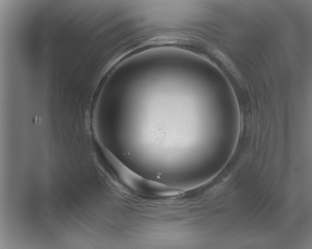 X0000072521465200607141145