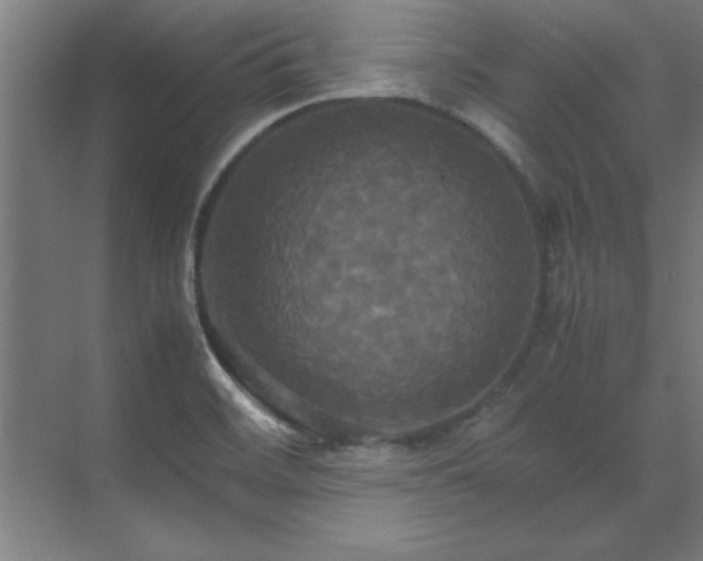 X0000072521468200607141145