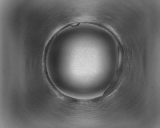 X0000072521469200607141145