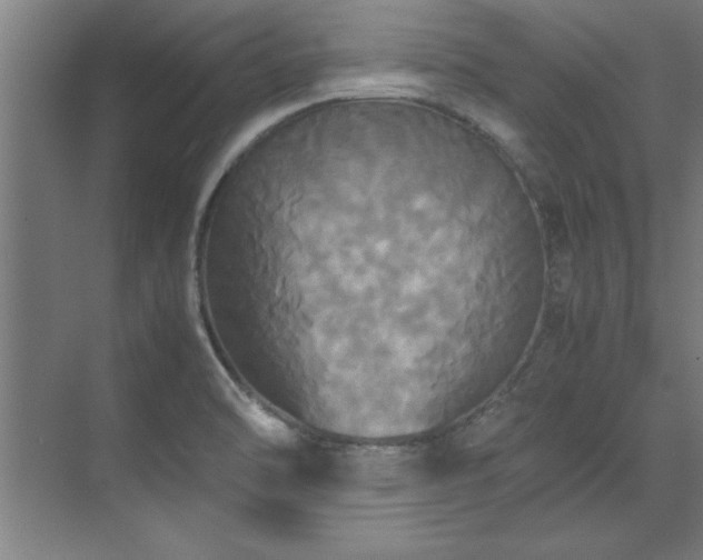 X0000072521470200607141145