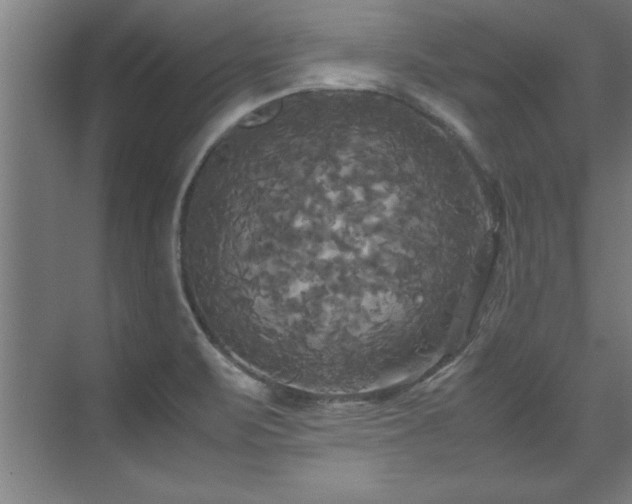 X0000072521471200607141145