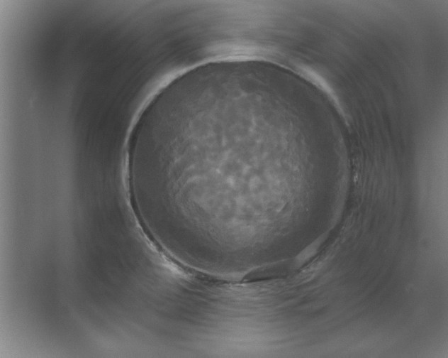 X0000072521472200607141145