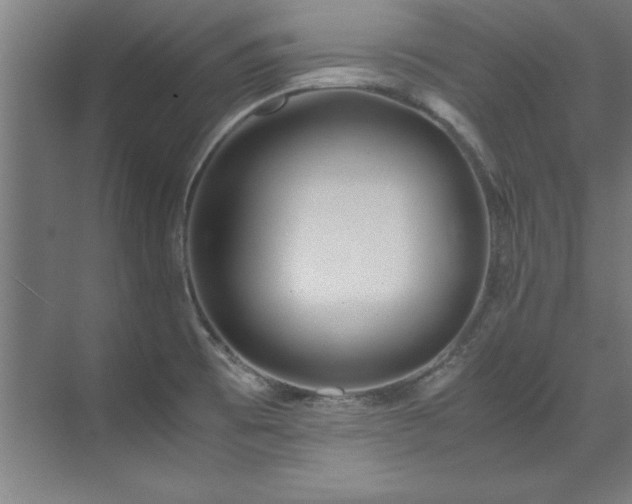 X0000072521473200607141145