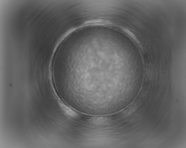 X0000072521474200607141145